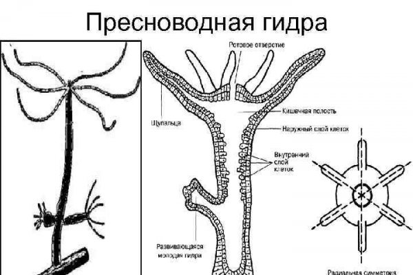 Какой браузер установить для меги